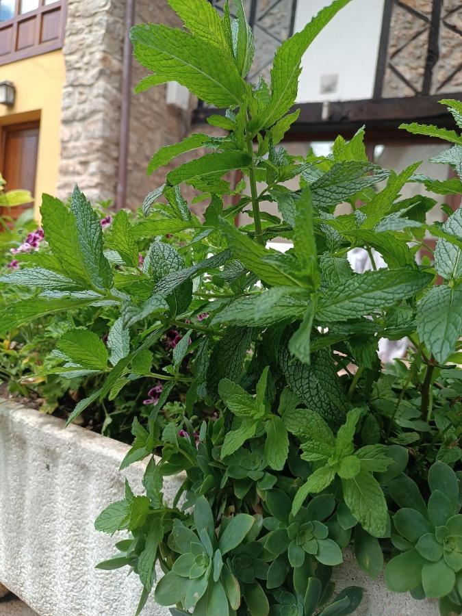 Romantico Acogedor Apartamento En Llanes Bagian luar foto