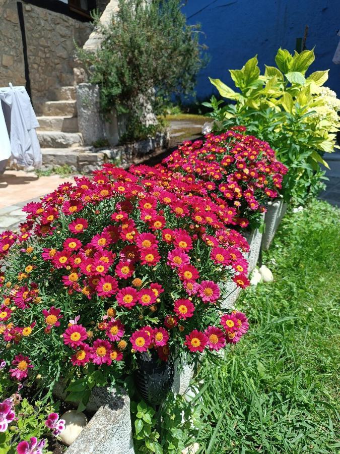 Romantico Acogedor Apartamento En Llanes Bagian luar foto